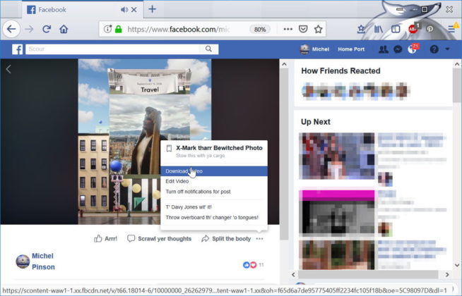 download private facebook video online free