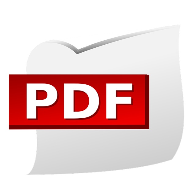 What to Do If You Are in Need of Something in PDF Format