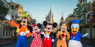 disney vacations packages