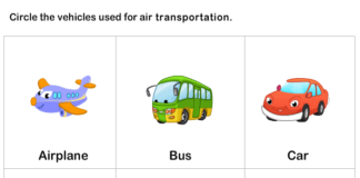 Transportation Worksheet for kids