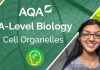 aqa a level biology spec