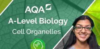 aqa a level biology spec