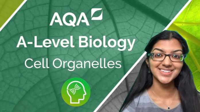 aqa a level biology spec