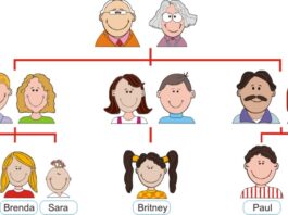 family tree worksheet image