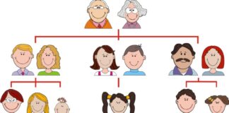 family tree worksheet image