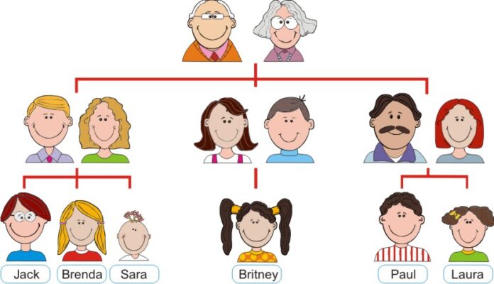 family tree worksheet image