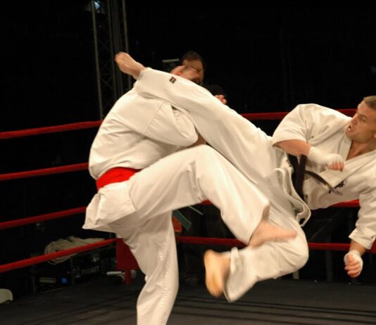 Kyokushin karate