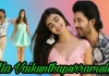 ALA VAIKUNTHAPURRAMULOO HINDI DUBBED DOWNLOAD FILMYZILLA 720P