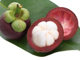  "Queen of Fruits" Mangosteen | Health Benefits of Mangosteen