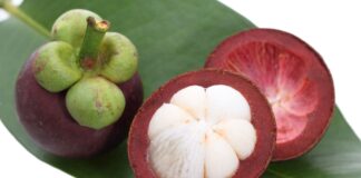  "Queen of Fruits" Mangosteen | Health Benefits of Mangosteen