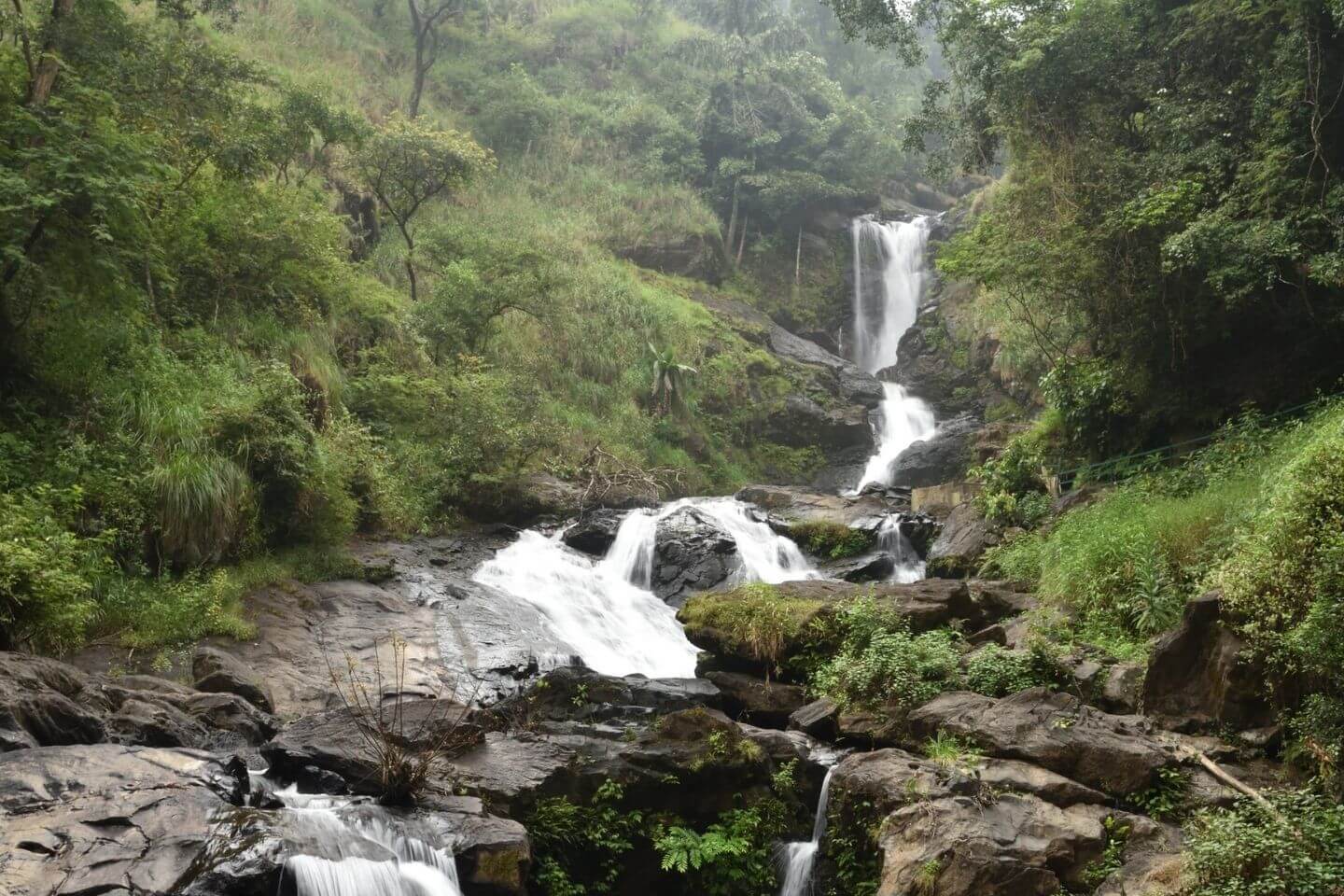 Best Time to Visit Coorg